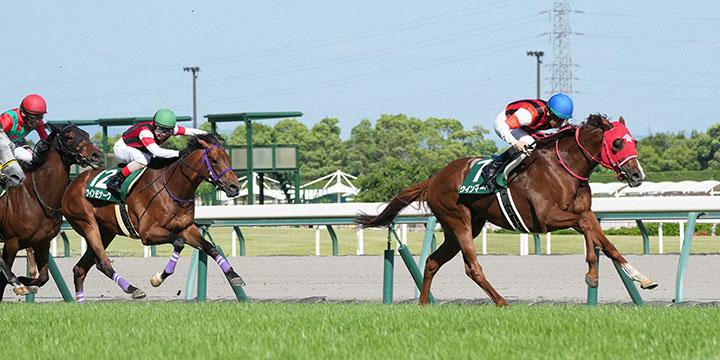 葵Sを制したウインマーベル（右）＝2022年5月28日、中京競馬場