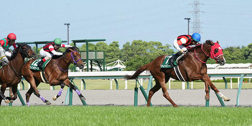 葵Sを制したウインマーベル(右)=2022年5月28日、中京競馬場