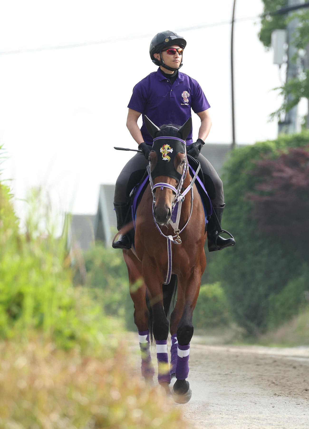 厩舎周りで運動するファントムシーフ（撮影・白石智彦）