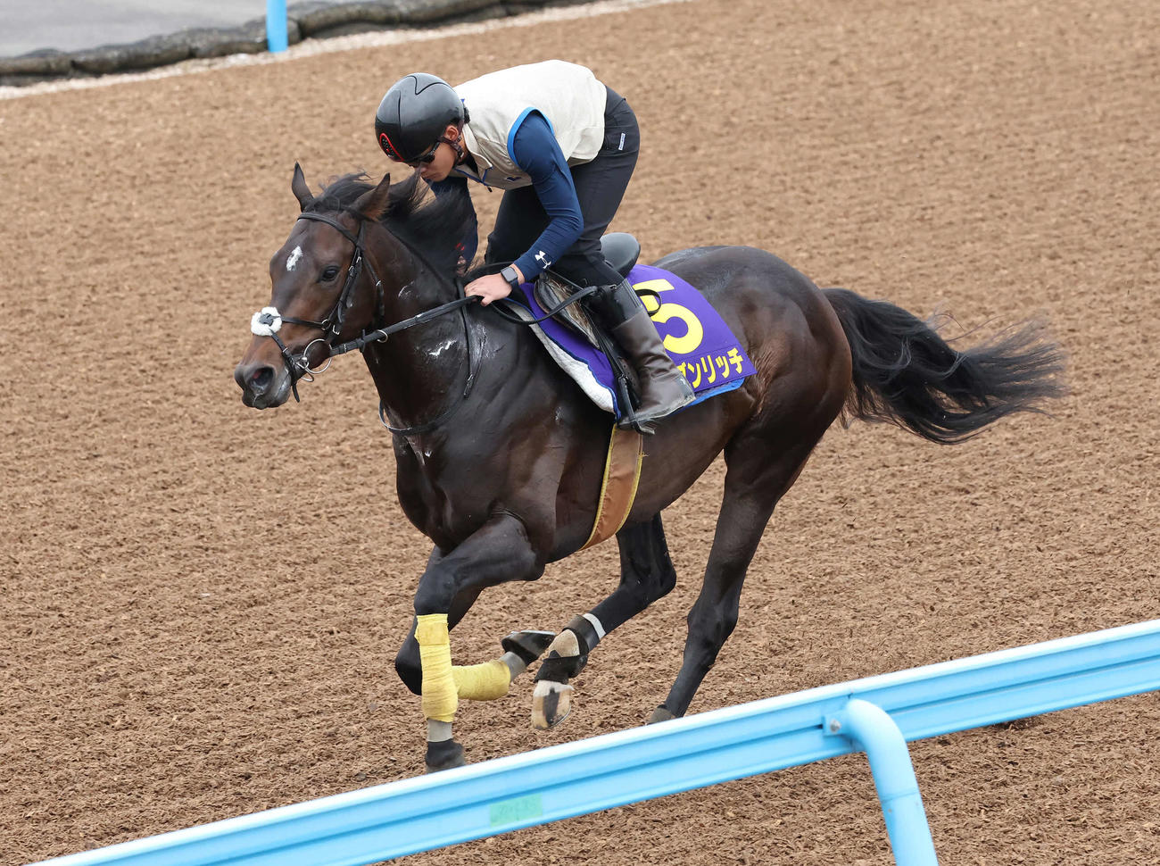 シーズンリッチは美浦ウッドを単走で追い切られた（撮影・丹羽敏通）