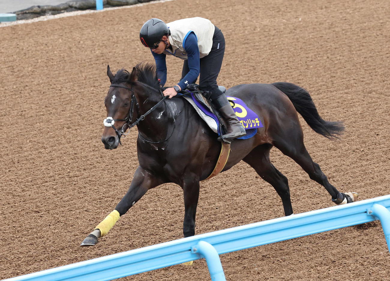 シーズンリッチは美浦ウッドを単走で追い切られた（撮影・丹羽敏通）