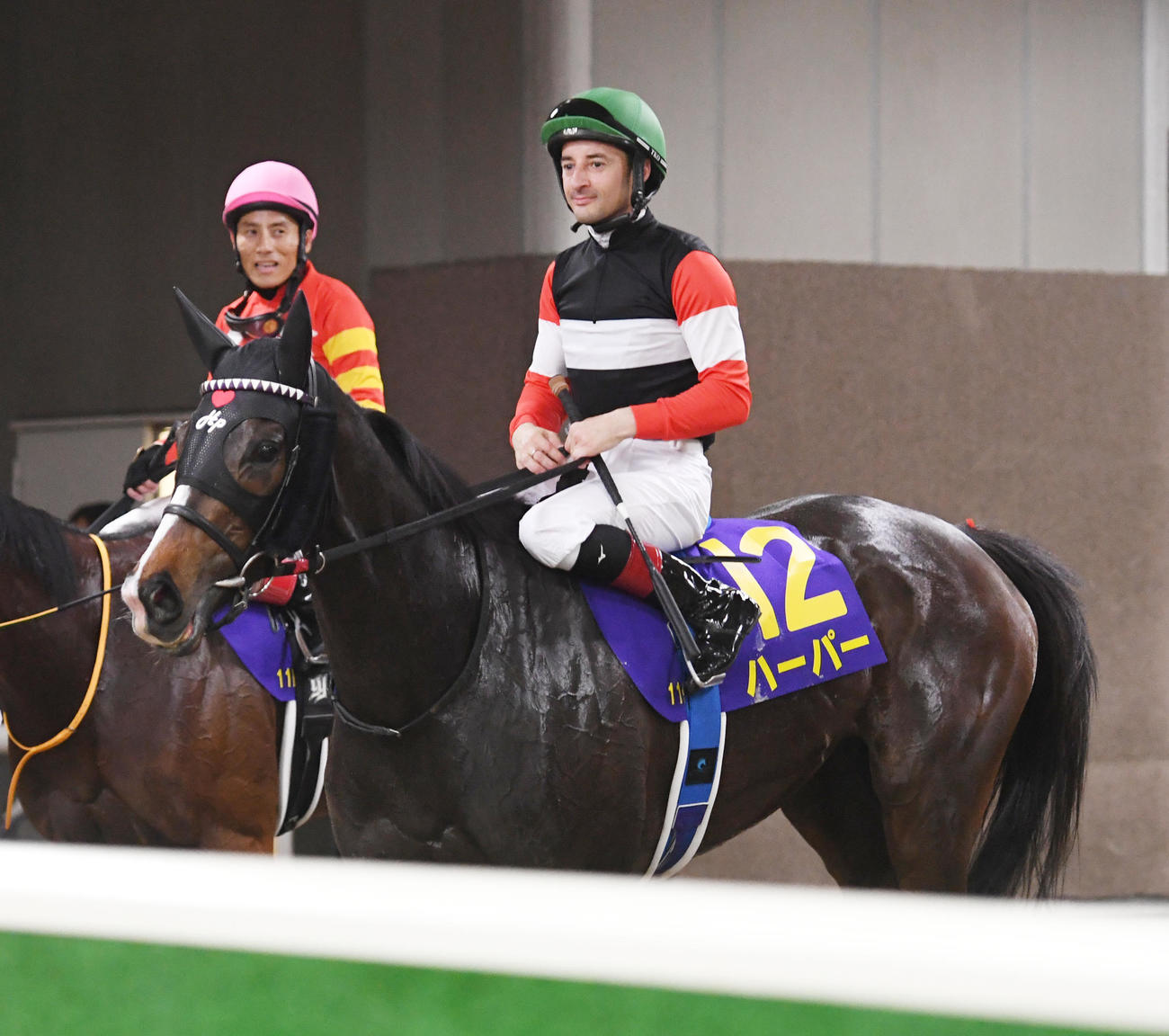 オークスで2着に敗れたハーパーとルメール騎手（撮影・柴田隆二）