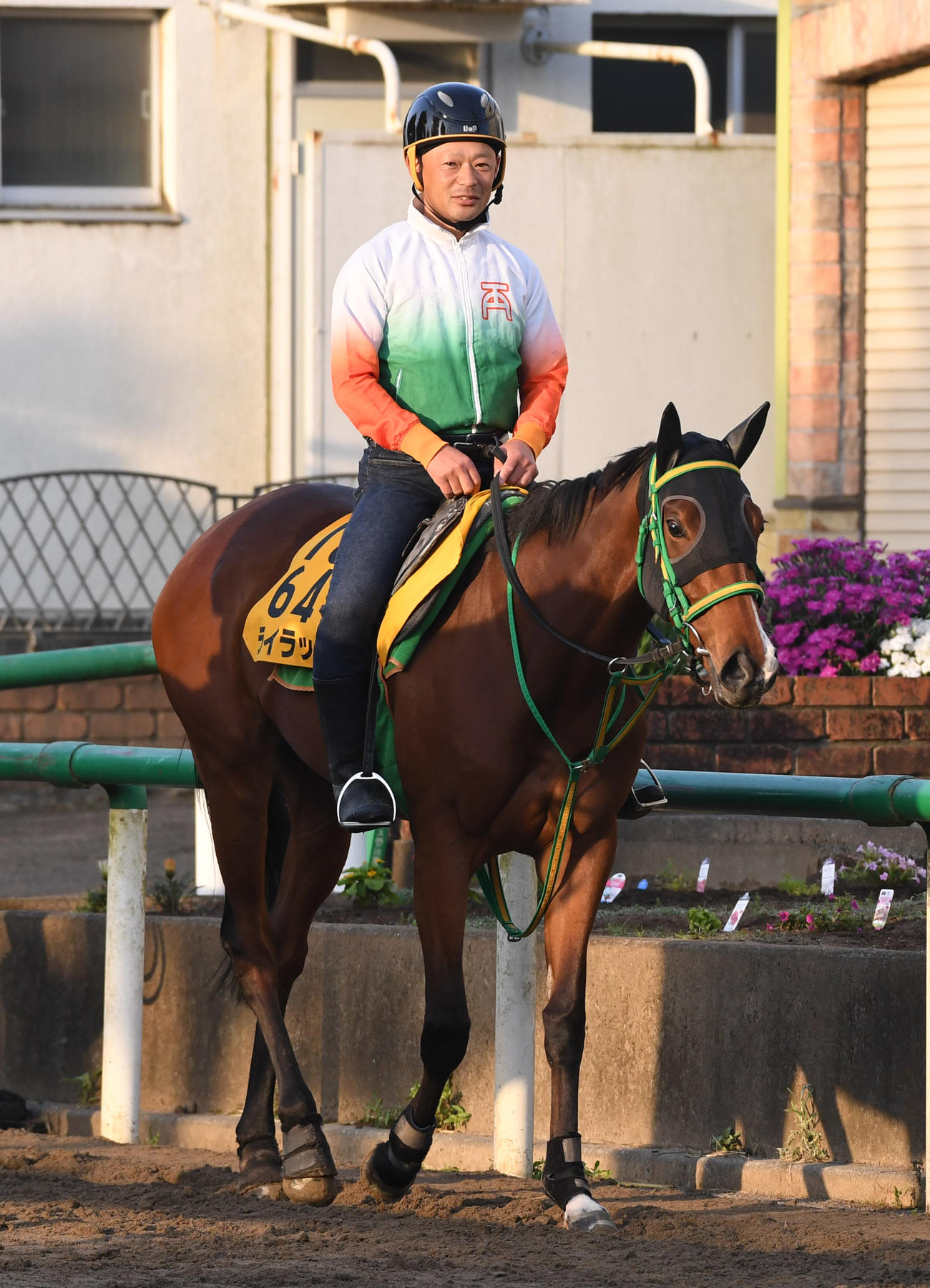 ライラック（2023年5月17日撮影）