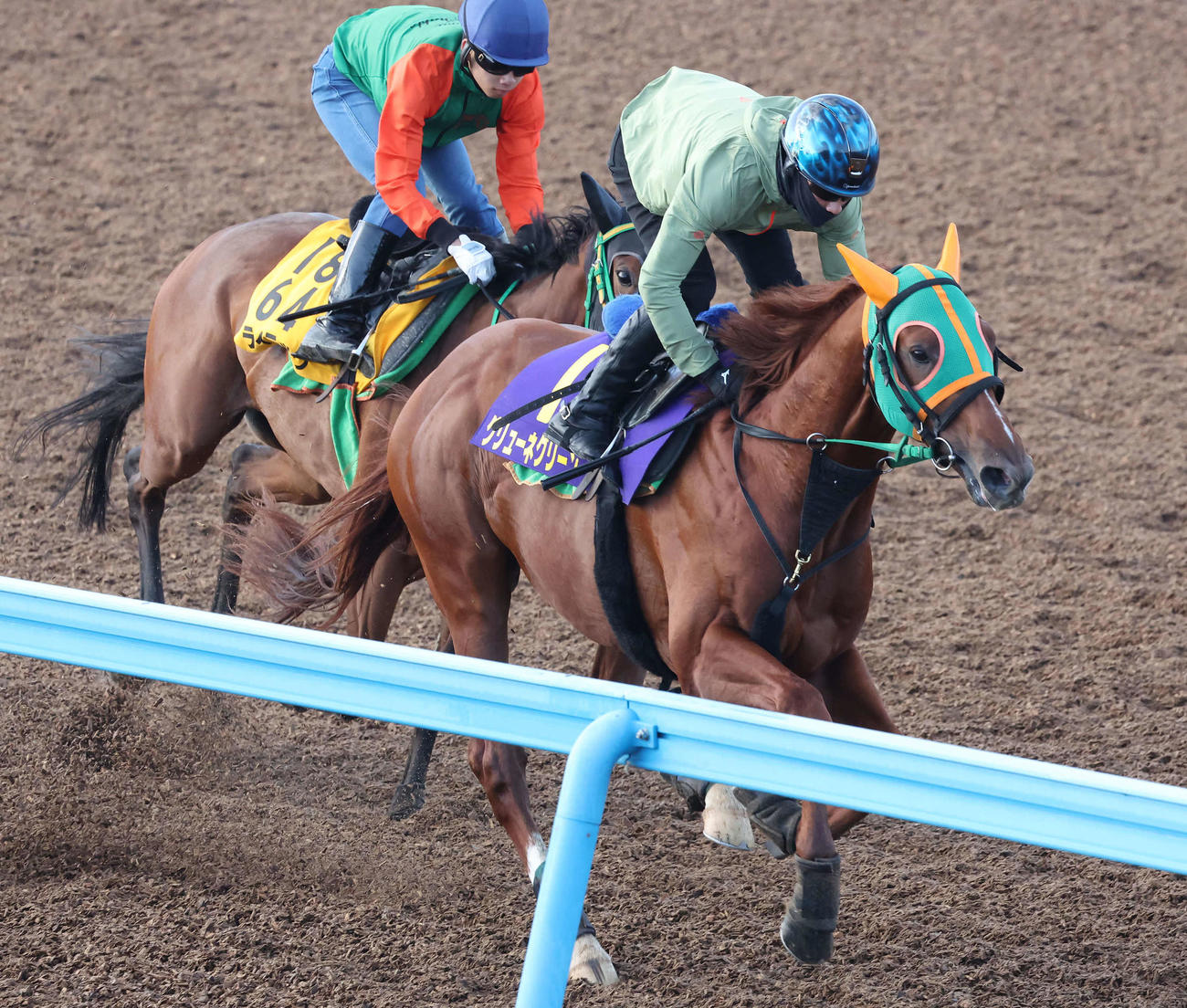 グリューネグリーン（手前）は美浦ウッドをライラックと併せて追い切られた（撮影・丹羽敏通）