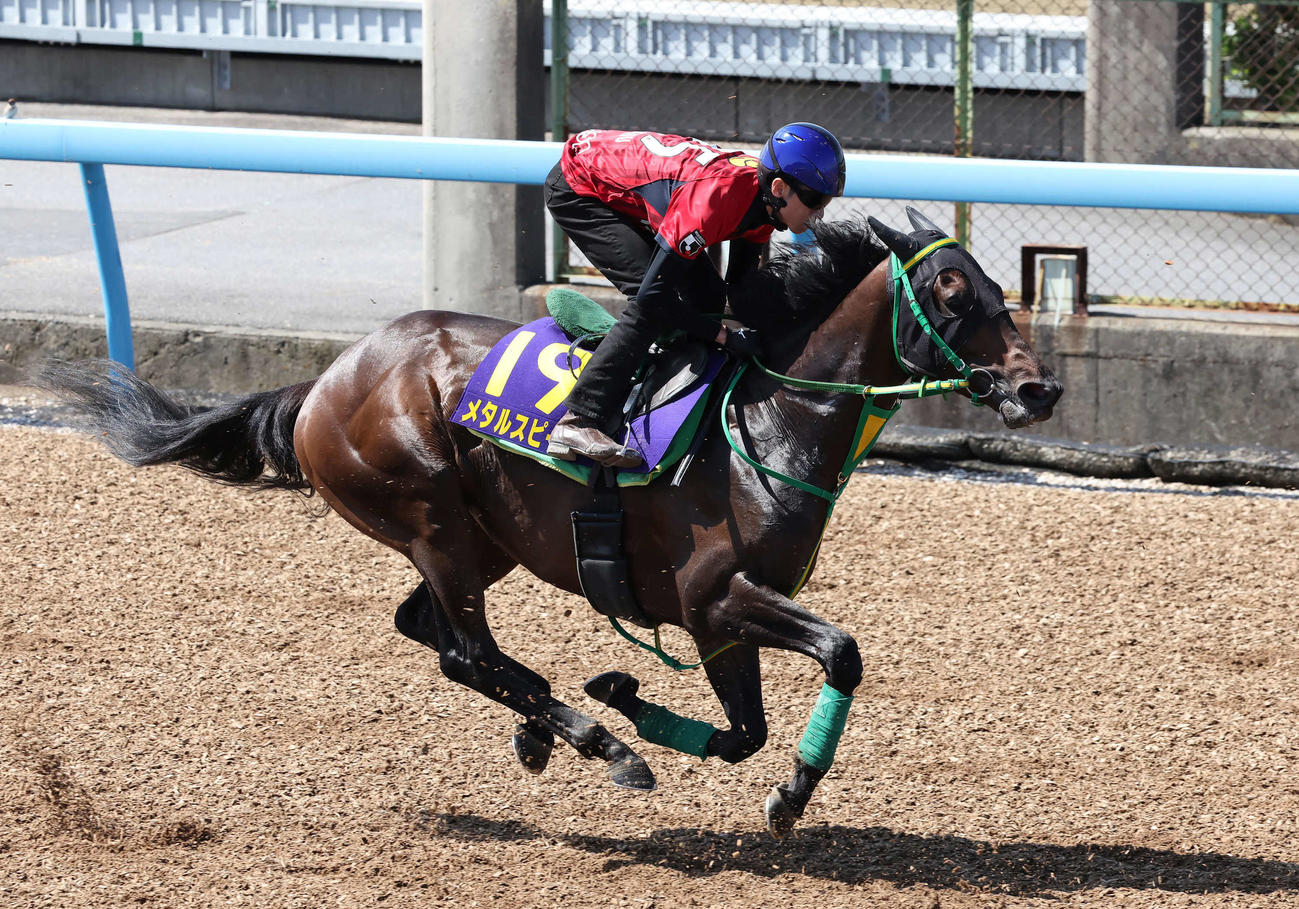 メタルスピードは津村騎手を背に美浦ウッドで追い切られた（撮影・丹羽敏通）