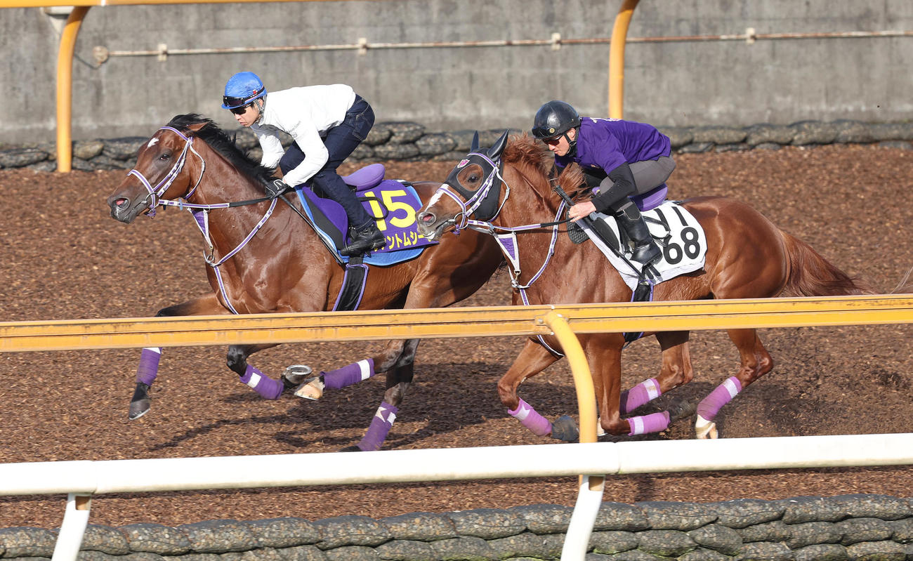 武豊騎手を背にCウッドをソリタリオ（右）と併せ馬で追い切るファントムシーフ（撮影・白石智彦）