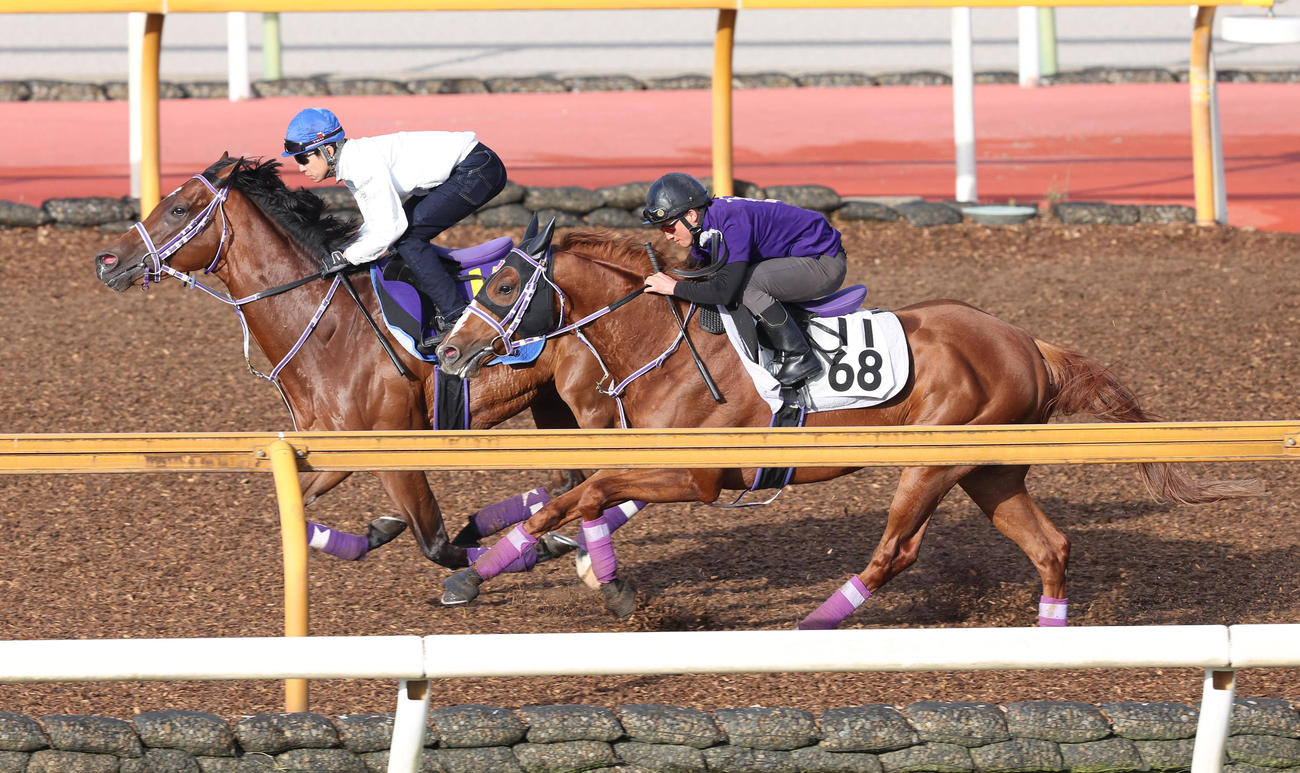 武豊騎手を背にCウッドをソリタリオ（右）と併せ馬で追い切るファントムシーフ（撮影・白石智彦）
