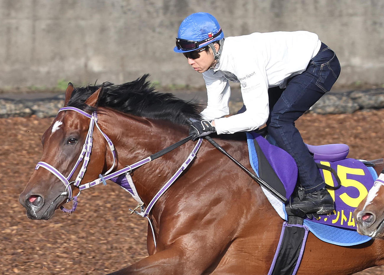 武豊騎手を背にCウッドをソリタリオと併せ馬で追い切るファントムシーフ（撮影・白石智彦）