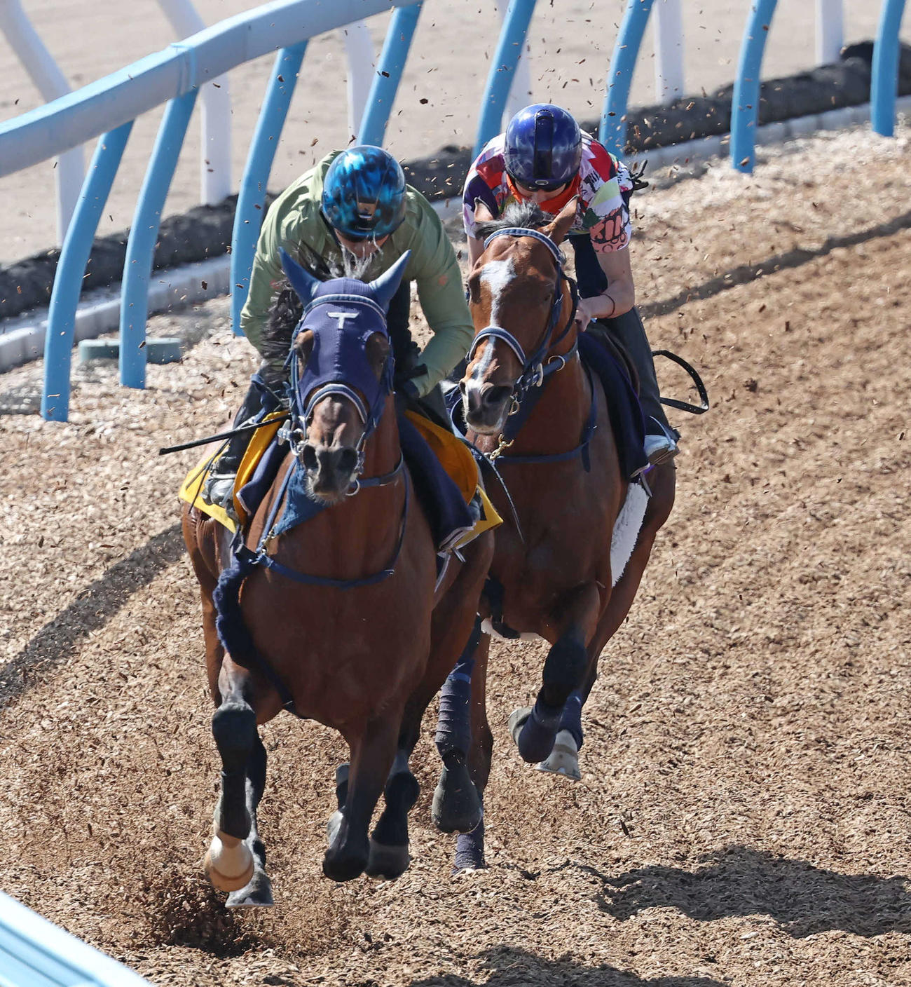 ソールオリエンス（右）は横山武騎手を背に、ベストフィーリングと併せて追い切られた（撮影・丹羽敏通）