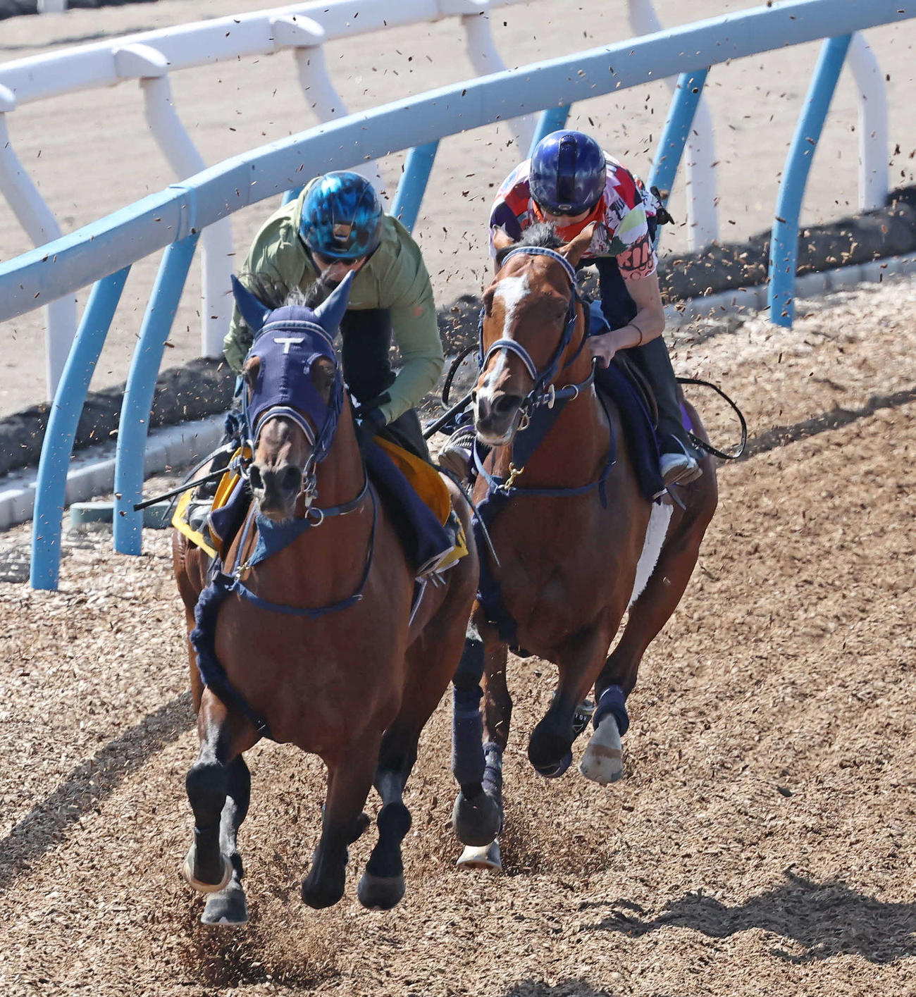 ソールオリエンス（右）は横山武騎手を背に、豪快にウッドチップをはね飛ばして追い切る（撮影・丹羽敏通）