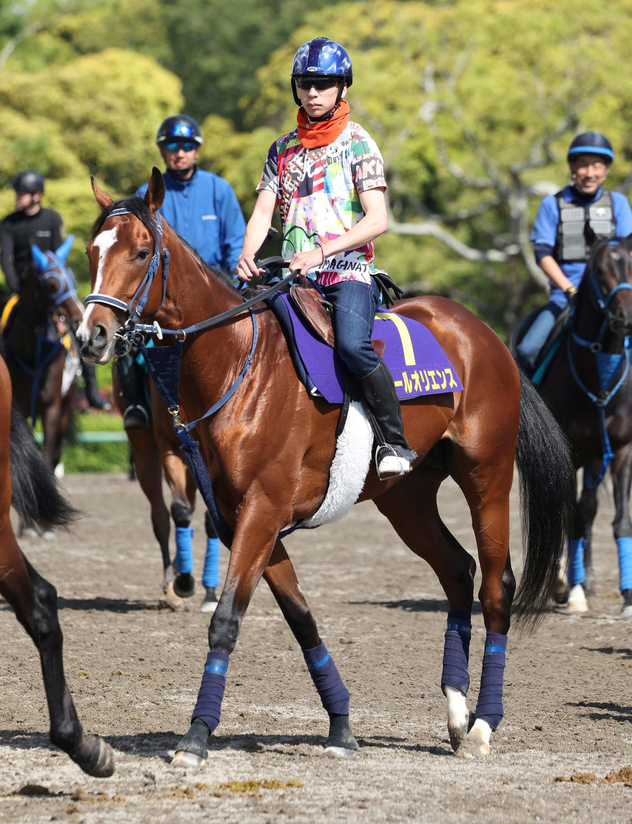 馬場へ向かうソールオリエンスと横山武騎手（撮影・丹羽敏通）