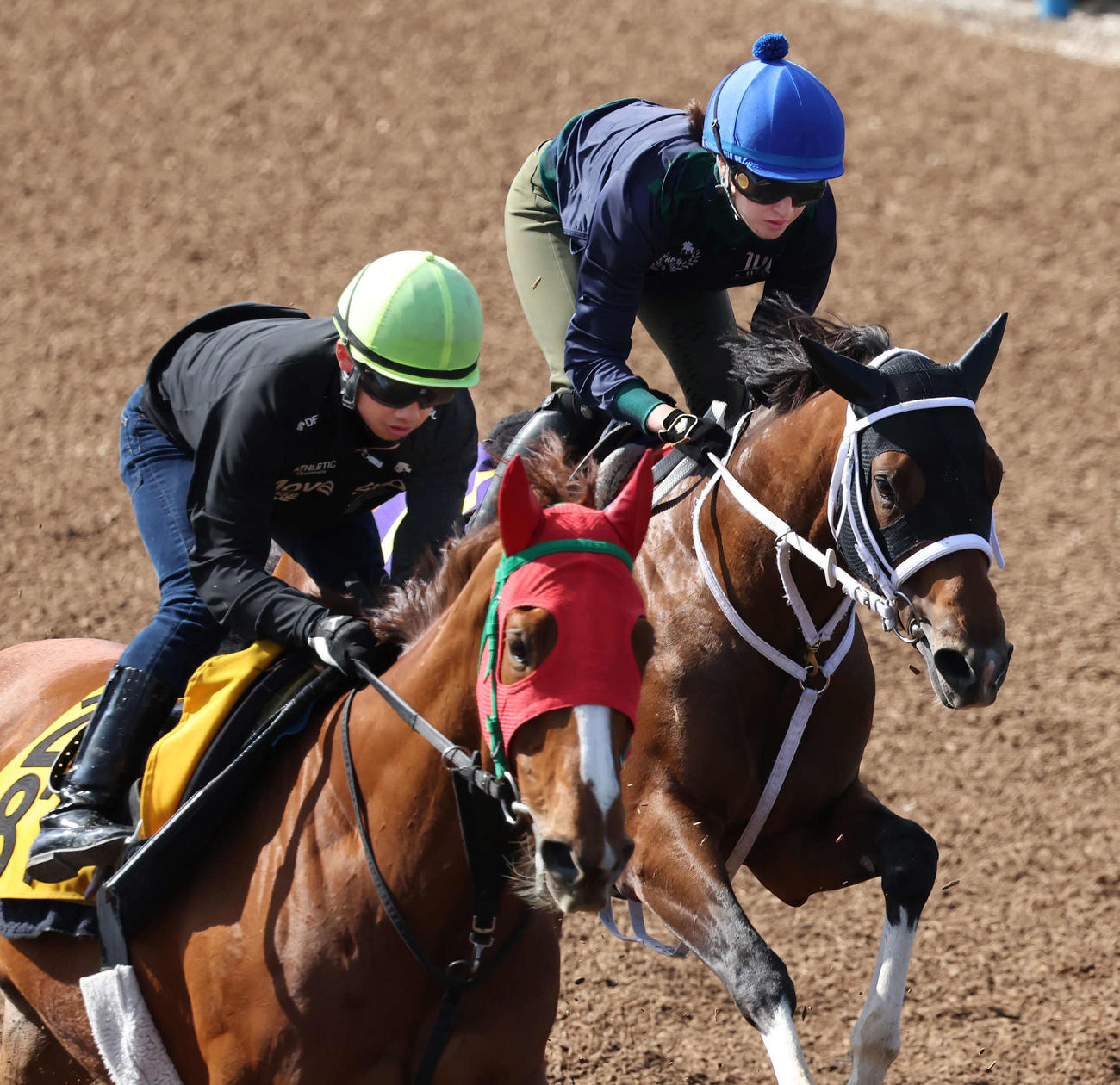 日本ダービー登録馬トーセントラム（右）に調教騎乗する藤田騎手（撮影・丹羽敏通）