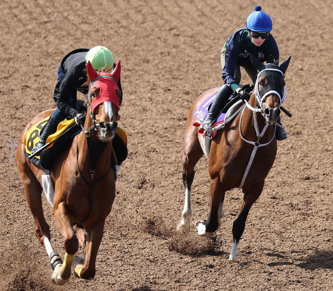 日本ダービー登録馬トーセントラム（右）に調教騎乗する藤田騎手（撮影・丹羽敏通）