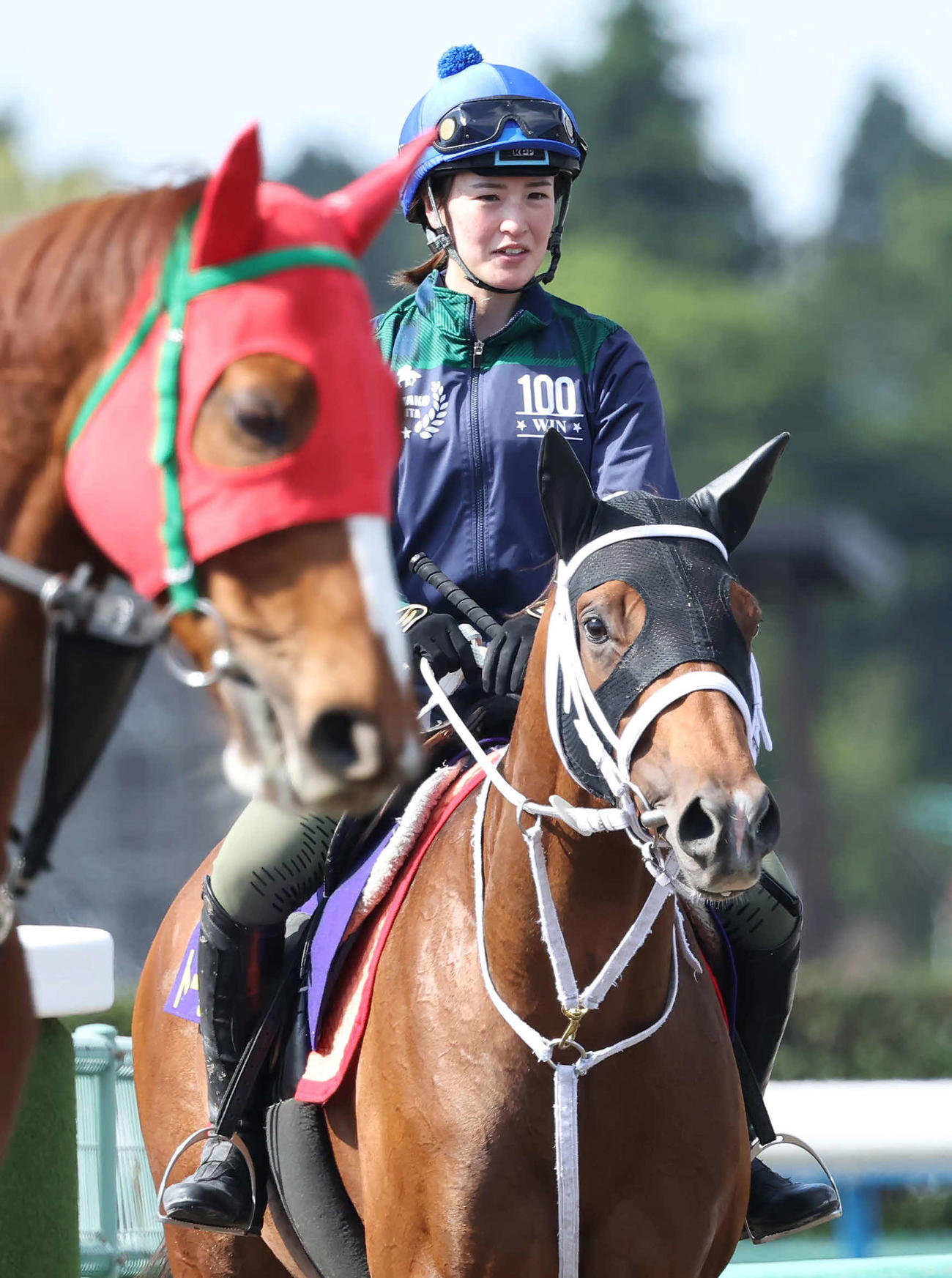 日本ダービー登録馬トーセントラムに調教騎乗した藤田菜騎手（撮影・丹羽敏通）