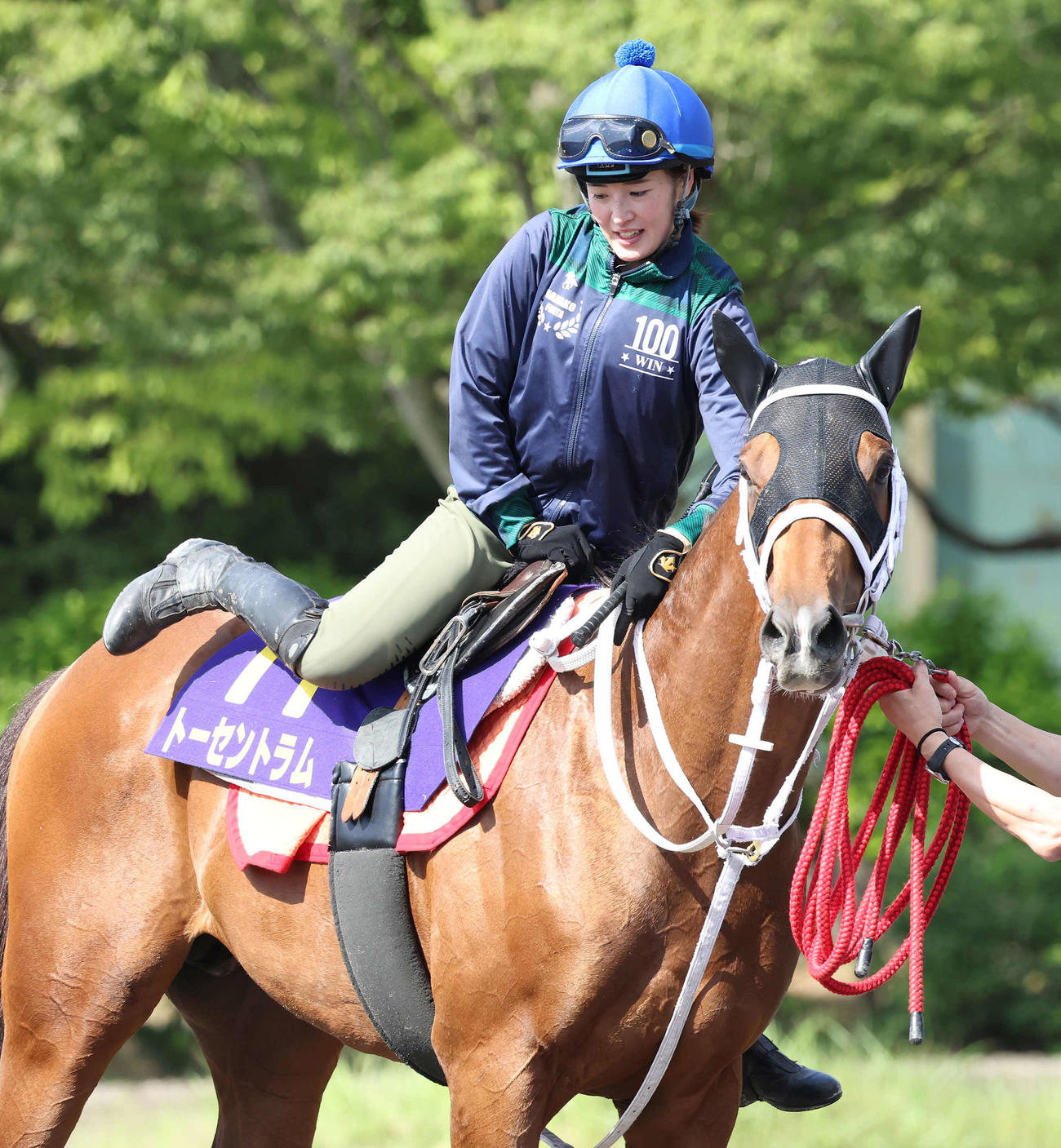 日本ダービー登録馬トーセントラムに調教騎乗した藤田菜騎手（撮影・丹羽敏通）