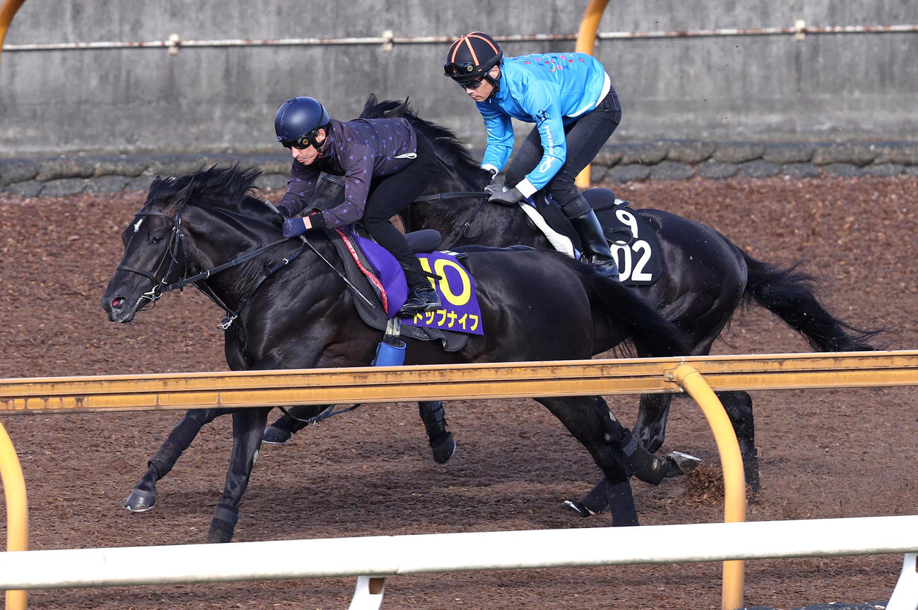 横山典騎手を背にCウッドをヒルノグラスゴー（右）と併せ馬で追い切るトップナイフ（撮影・白石智彦）