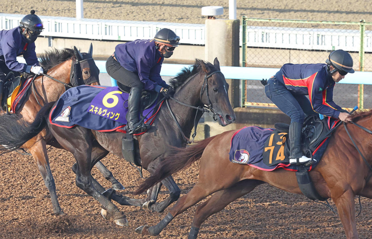 スキルヴィング（中央）は美浦ウッドを3頭併せで追い切られた（撮影・丹羽敏通）