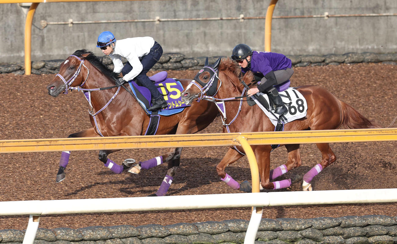 武豊騎手を背にCウッドをソリタリオ（右）と併せ馬で追い切るファントムシーフ（撮影・白石智彦）