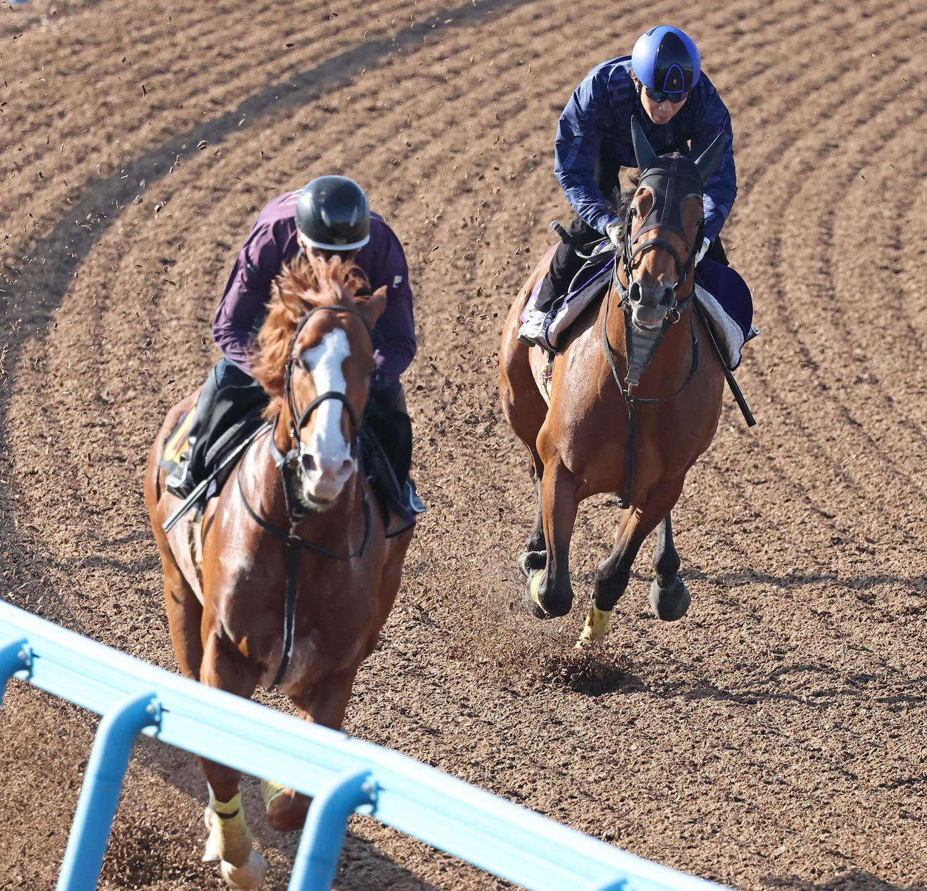 パクスオトマニカ（右）は田辺騎手を背に美浦ウッドを併せ馬で追い切られた（撮影・丹羽敏通）