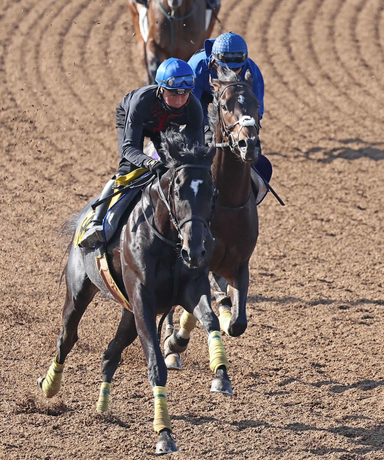 シーズンリッチ（右）は戸崎騎手を背に美浦ウッドを併せ馬で追い切られた（撮影・丹羽敏通）