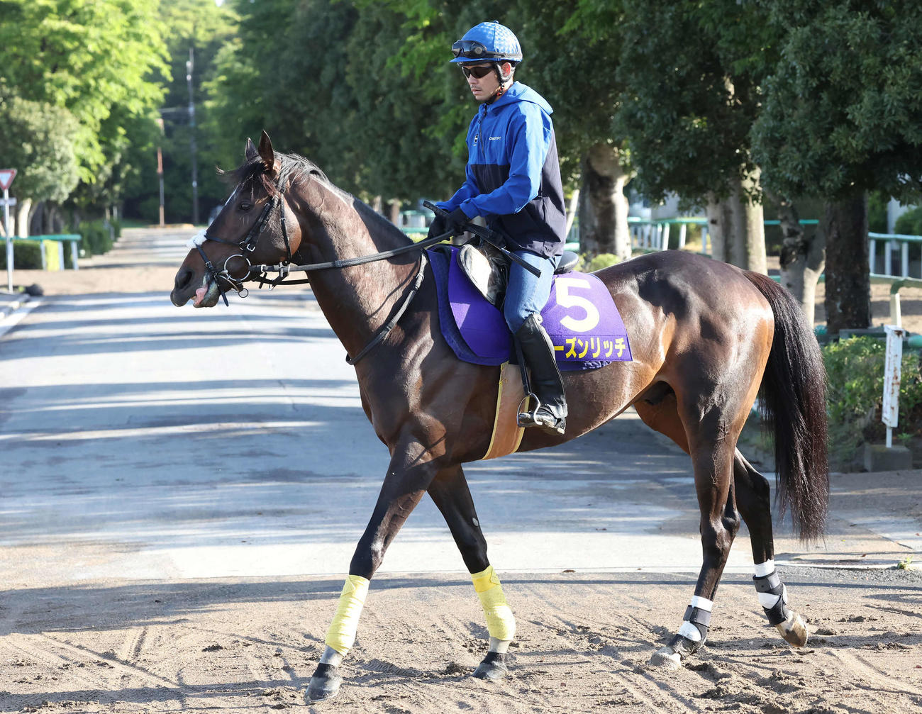 馬場に向かうシーズンリッチと戸崎騎手（撮影・丹羽敏通）