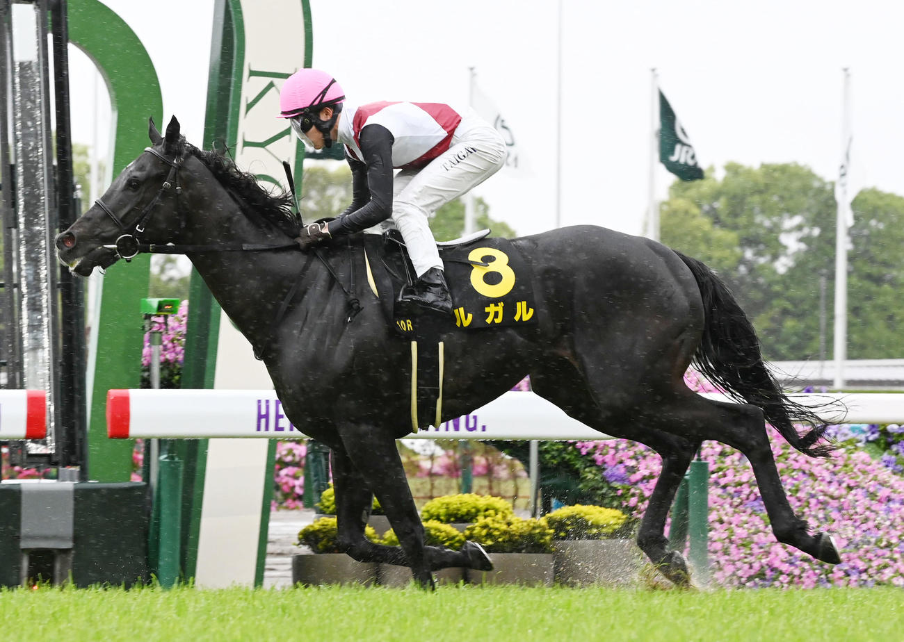 好位から抜け出し橘Sを制したルガル（2023年5月7日撮影）