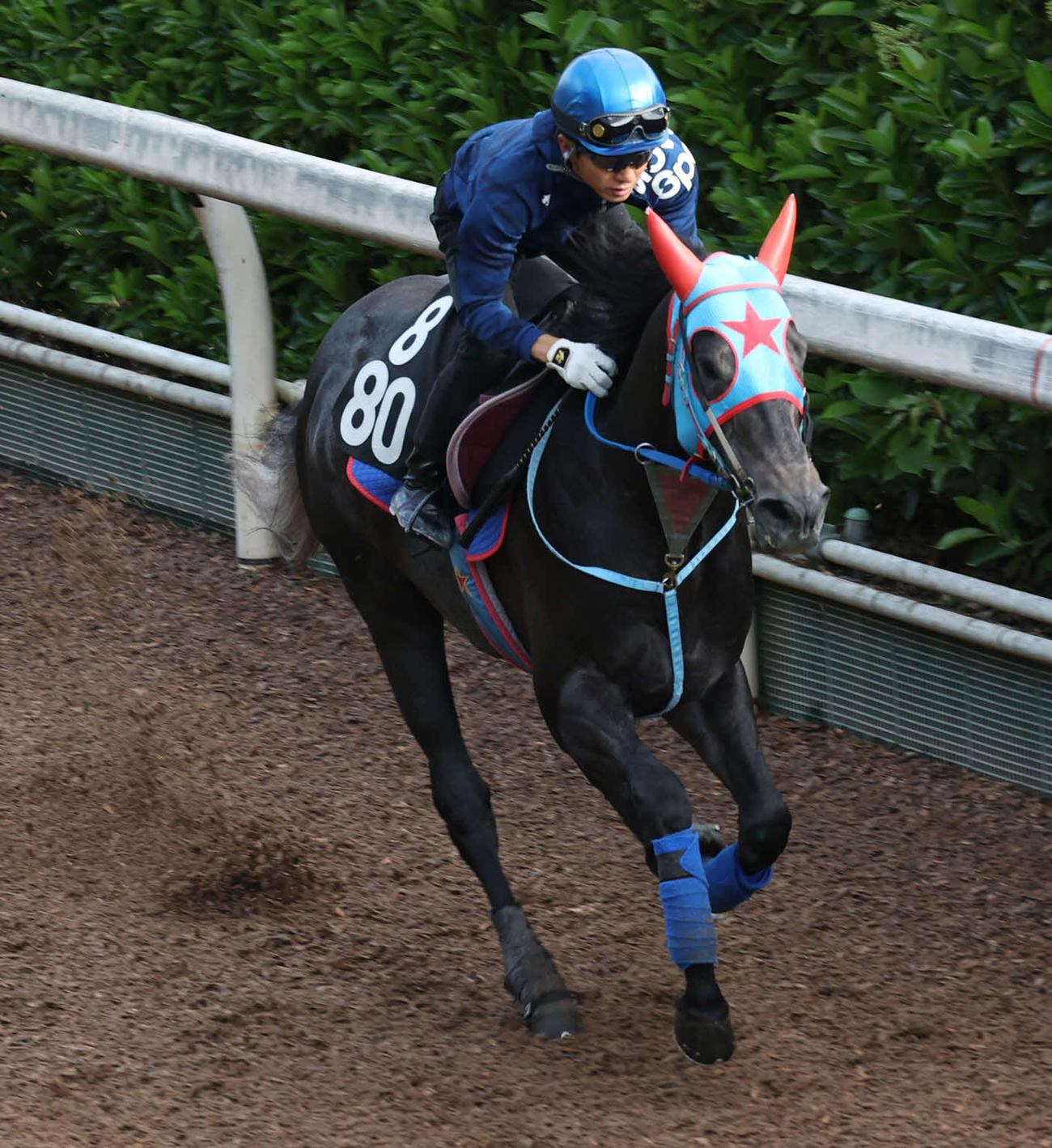 幸騎手を背に坂路で追い切るビッグシーザー