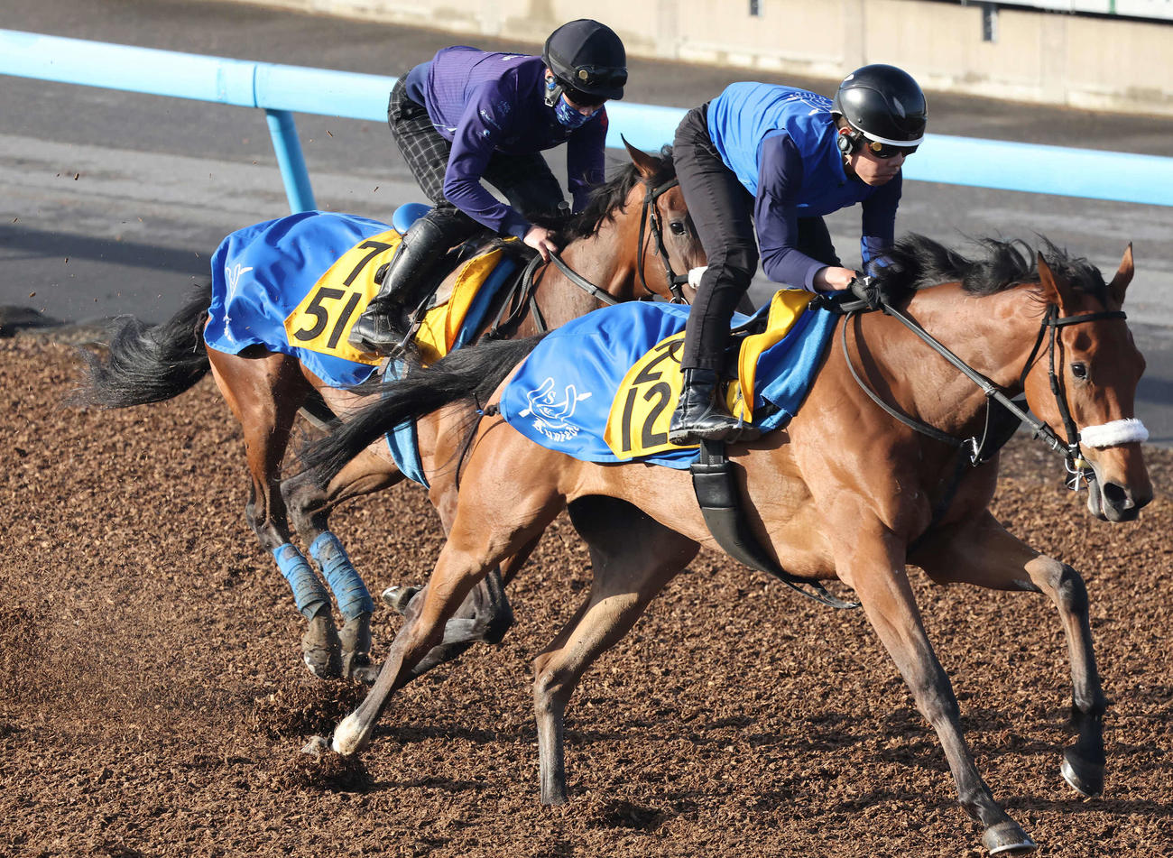 サリエラ（左）は美浦ウッドを併せ馬で追い切られた（撮影・丹羽敏通）