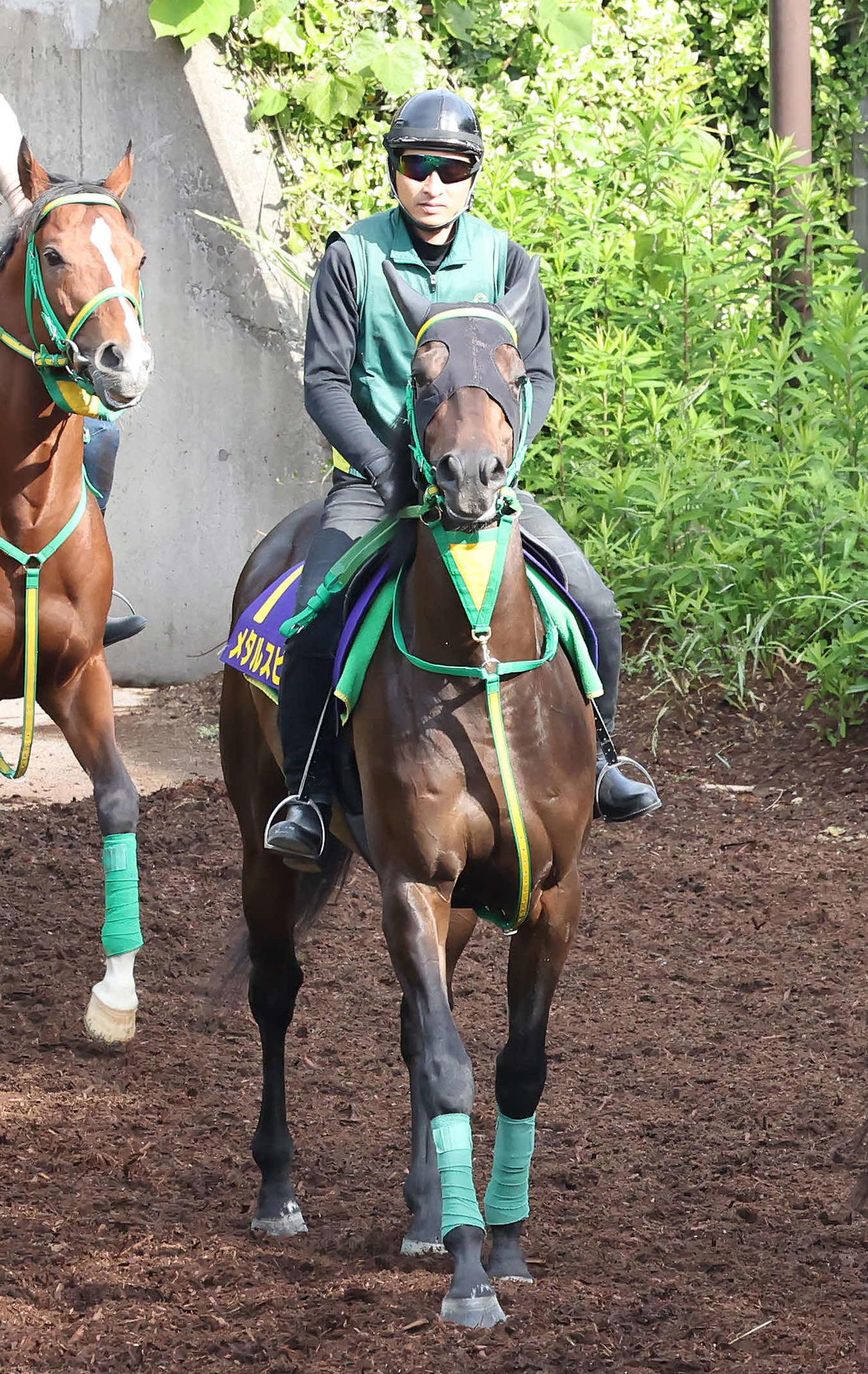 逍遙馬道で運動するメタルスピード（撮影・丹羽敏通）