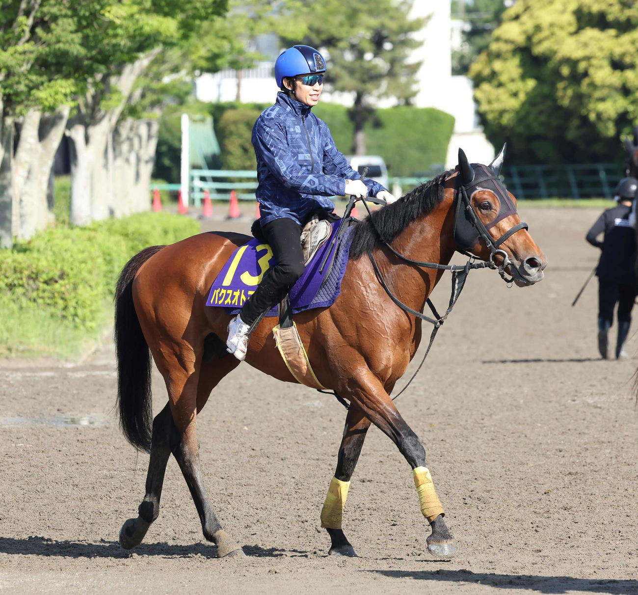 調教を終えて馬場を出るパクスオトマニカ（2023年5月24日撮影）