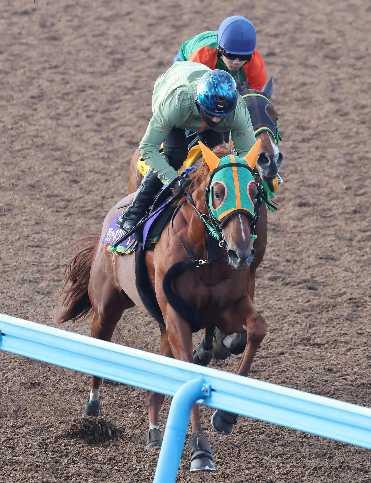 美浦ウッドをライラックと併せて追い切られたグリューネグリーン（手前）（2023年5月24日撮影）