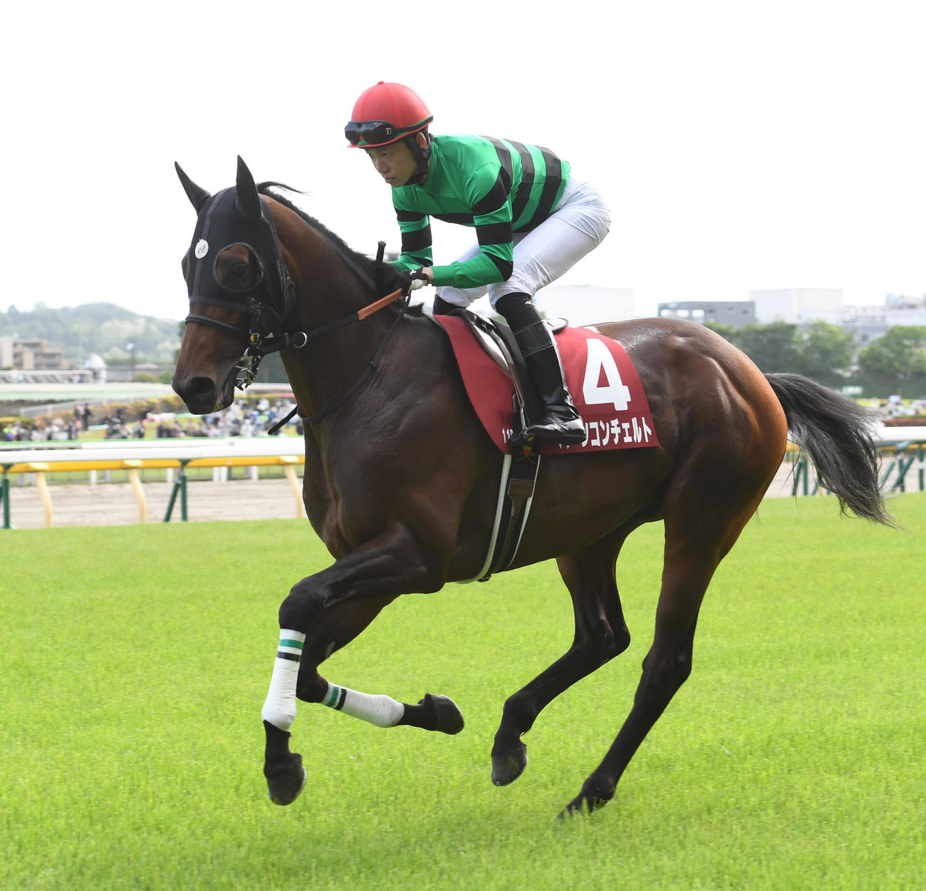 青葉賞で本馬場に入場したハーツコンチェルトと松山騎手（2023年4月29日撮影）