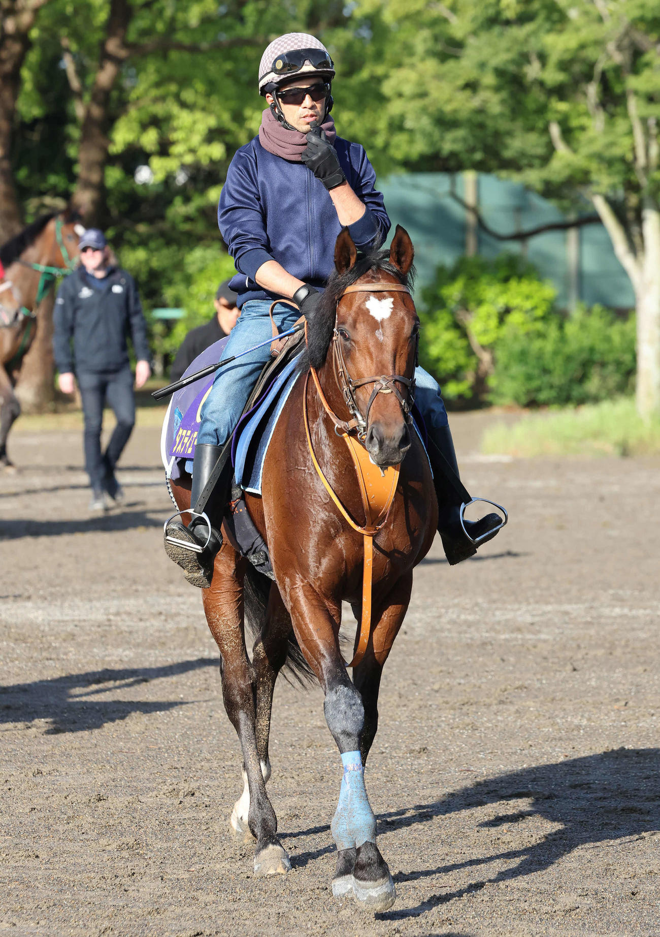 調教を終えて馬場を出るタスティエーラ（2023年5月24日撮影）