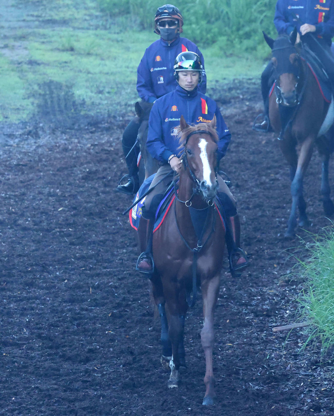 朝もやの中、逍遙馬道で運動するノッキングポイント（2023年5月24日撮影）