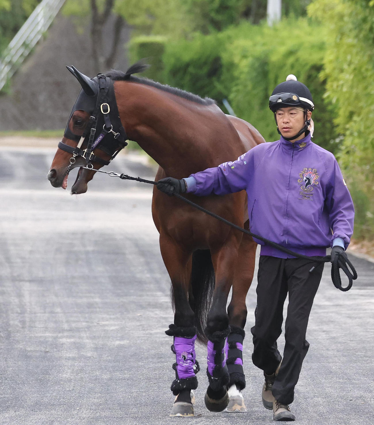 厩舎周りで運動するシャザーン（撮影・白石智彦）