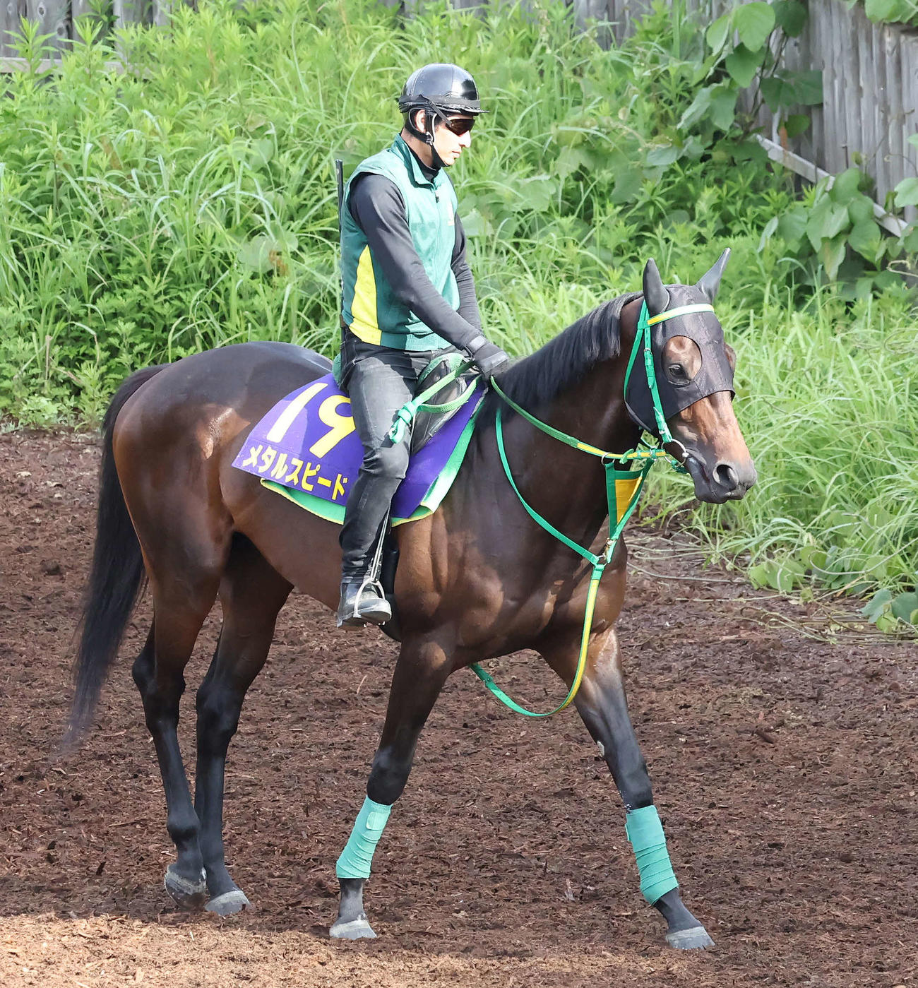 逍遙馬道で運動するメタルスピード（撮影・丹羽敏通）