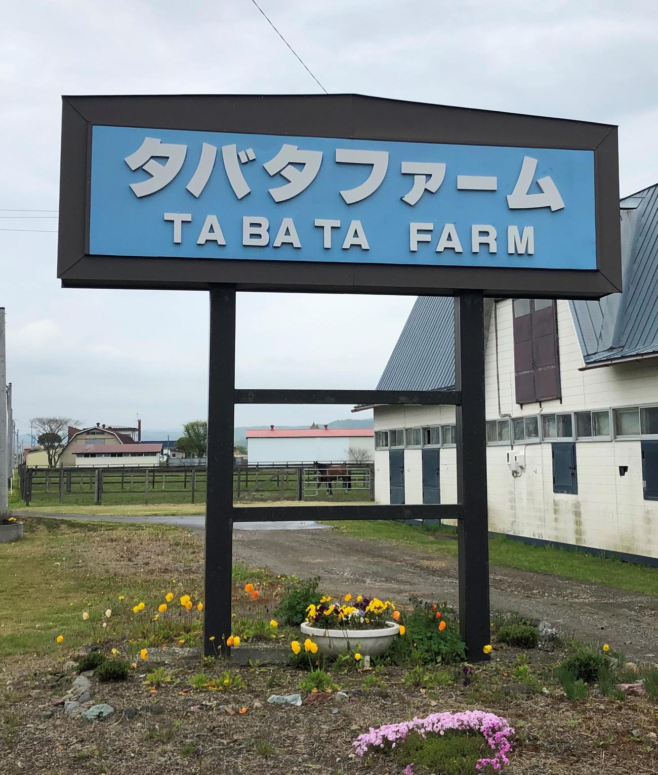 メタルスピードの生まれ故郷タバタファーム
