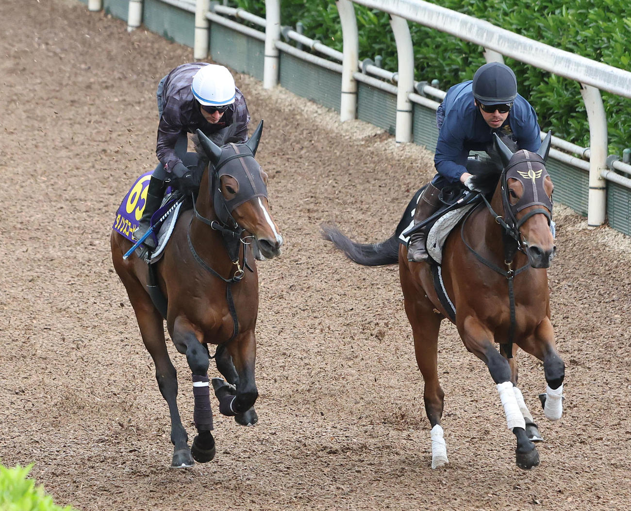 M・デムーロ騎手を背に坂路をノイアーターク（右）と併せ馬で追い切るダノンスコーピオン（撮影・白石智彦）