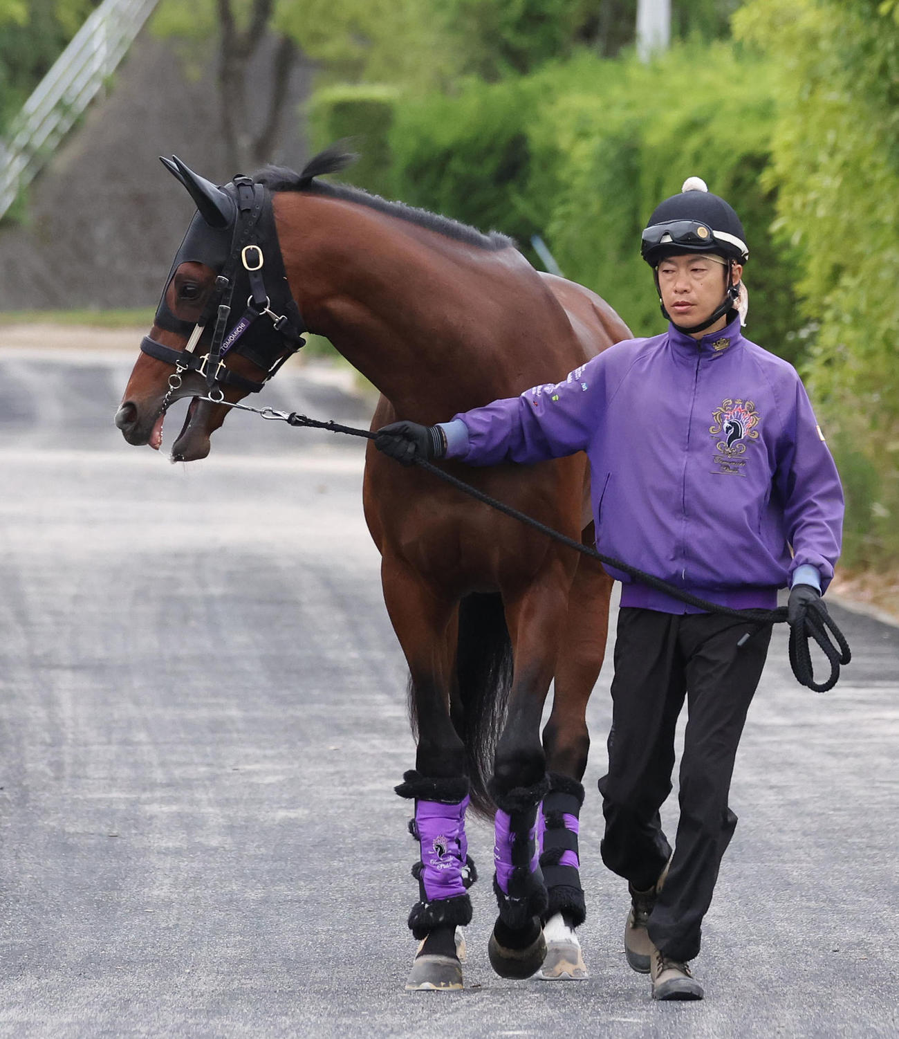 厩舎周りで運動するシャザーン（2023年5月25日撮影）