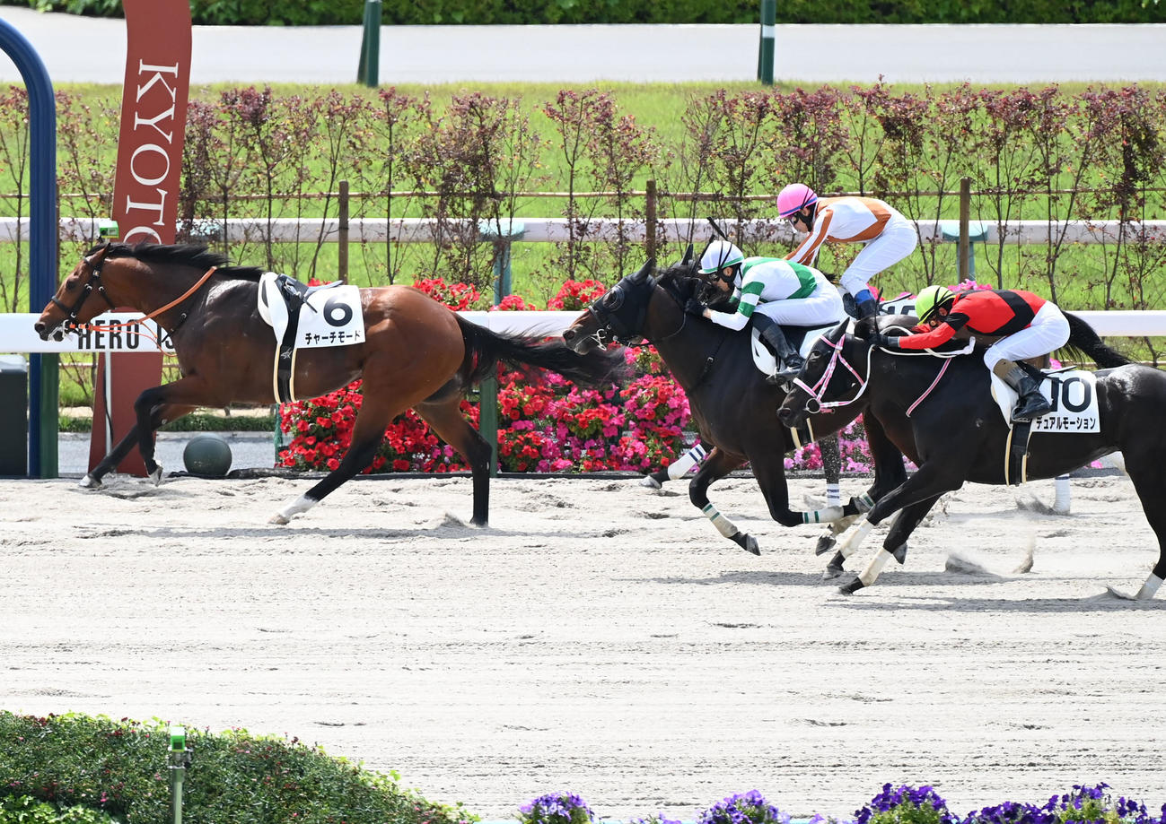 京都2R3歳未勝利、カラ馬でゴールするチャーチモード（左）、1着フスカル（左から2頭目）