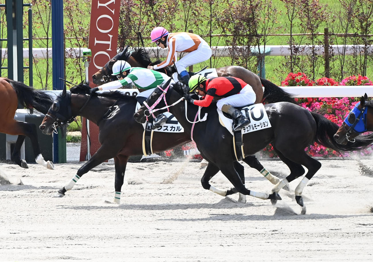 京都2R3歳未勝利、左から1着フスカル、2着バスドラムガール、3着デュアルモーション