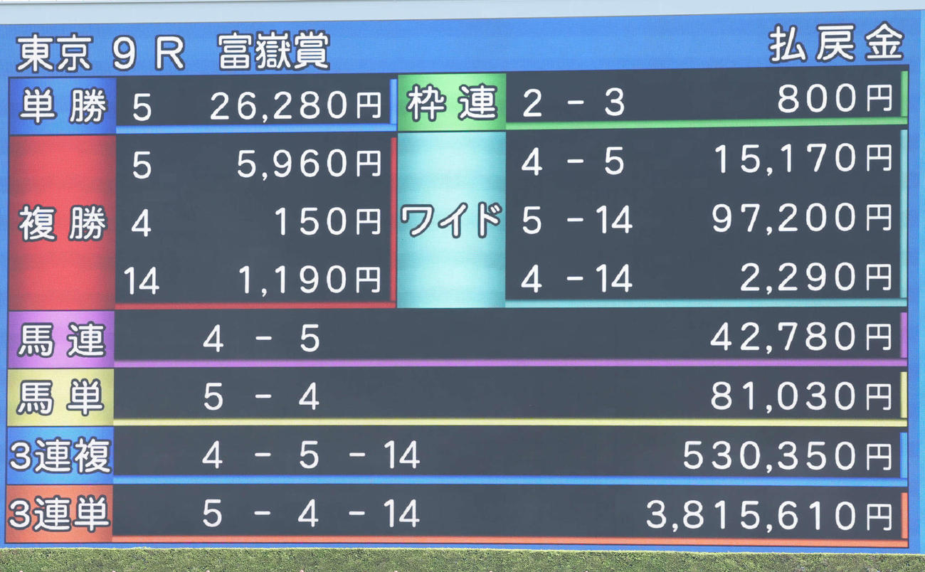 東京9R富嶽賞は16番人気のアウリガテソーロが制して高配当（撮影・丹羽敏通）