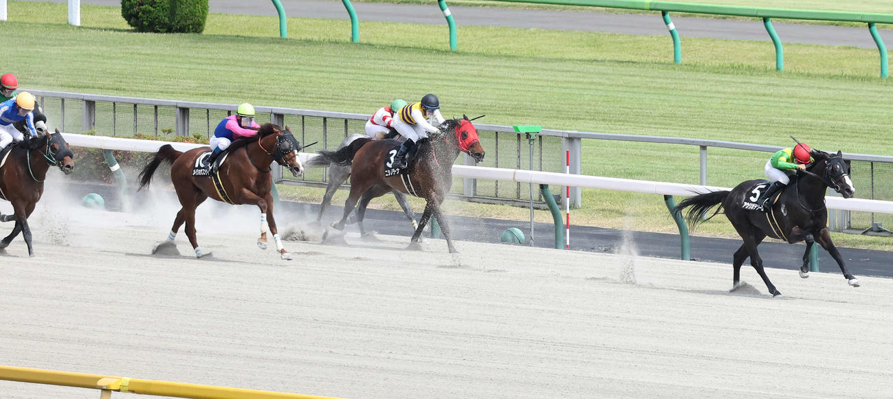 東京9R富嶽賞を制したアウリガテソーロと佐々木騎手（右）（撮影・丹羽敏通）