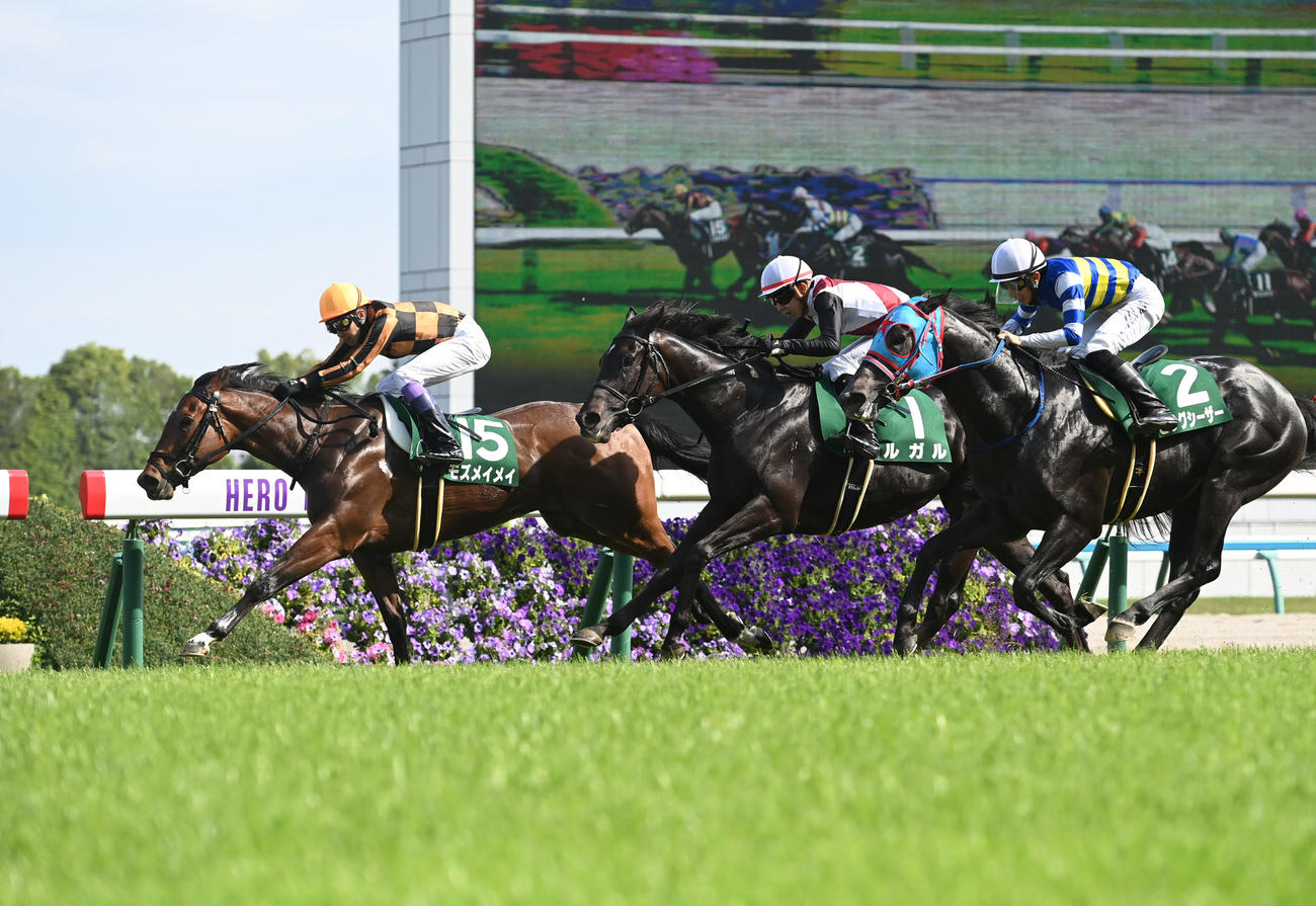 葵ステークスを制した（左から）モズメイメイ、2着ルガル、3着ビッグシーザー（撮影・石井愛子）