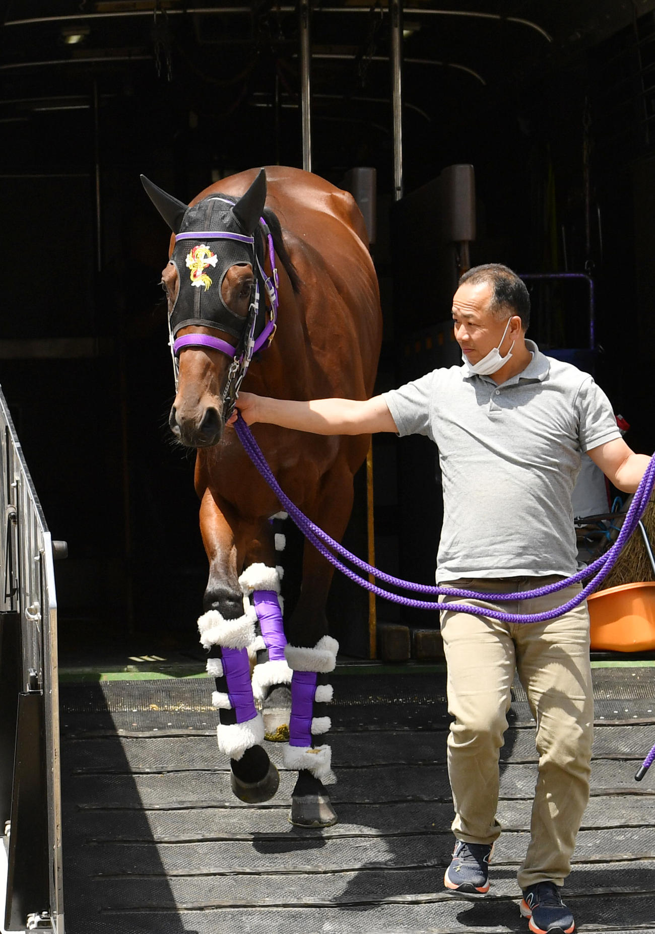 東京競馬場に到着したファントムシーフ（撮影・柴田隆二）
