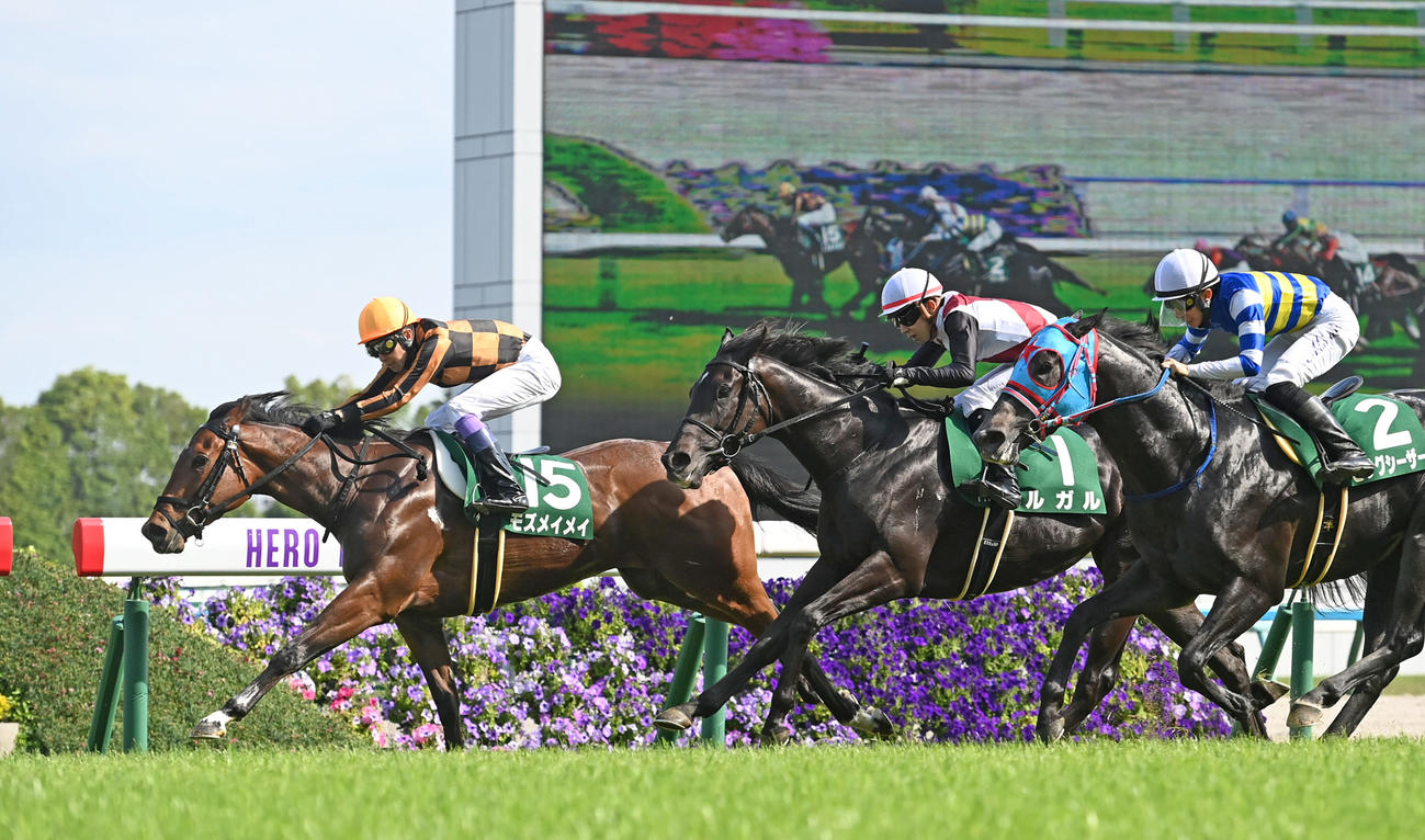 葵Sを制したモズメイメイと武豊騎手（左）（撮影・石井愛子）