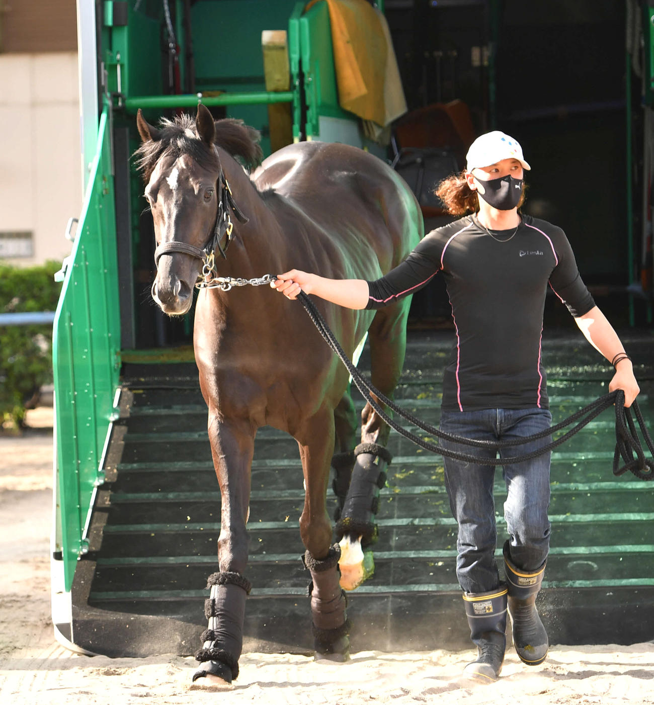 東京競馬場に到着したトップナイフ（撮影・柴田隆二）