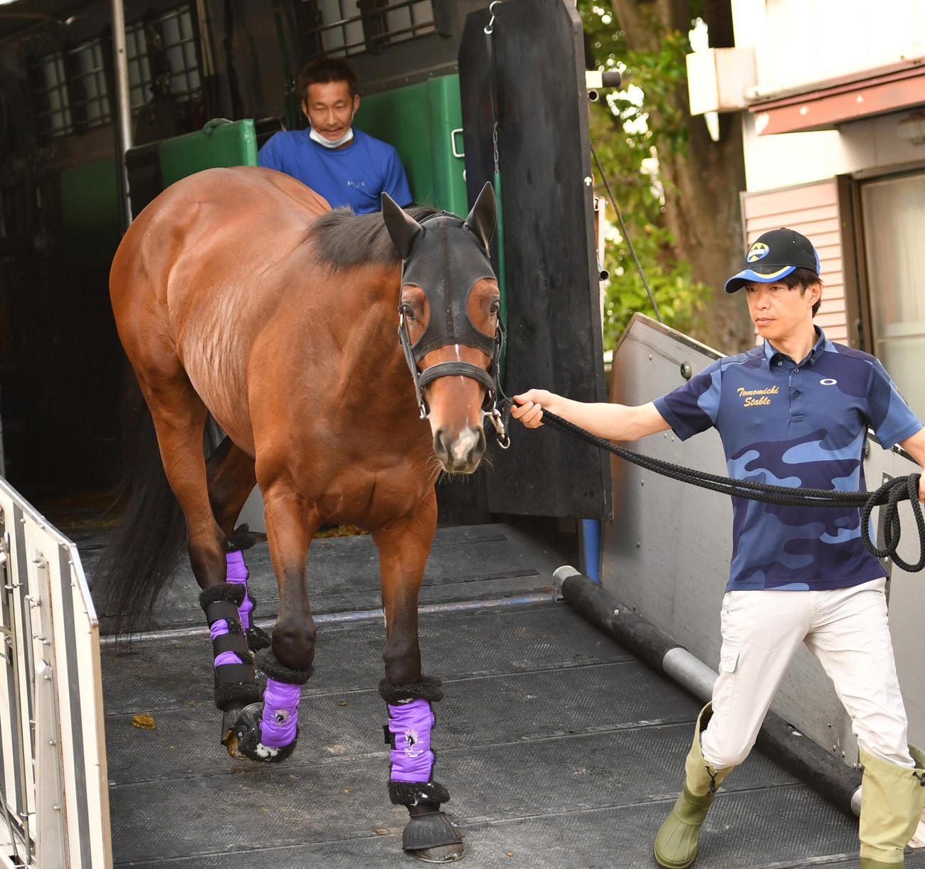 東京競馬場に到着したシャザーン（撮影・柴田隆二）
