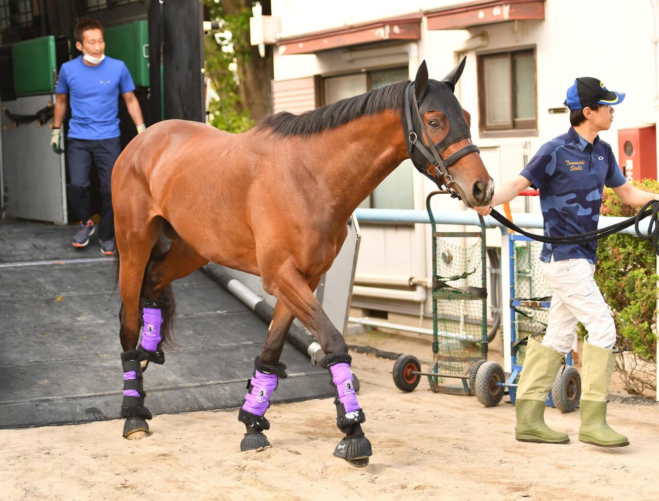 東京競馬場に到着したシャザーン（撮影・柴田隆二）