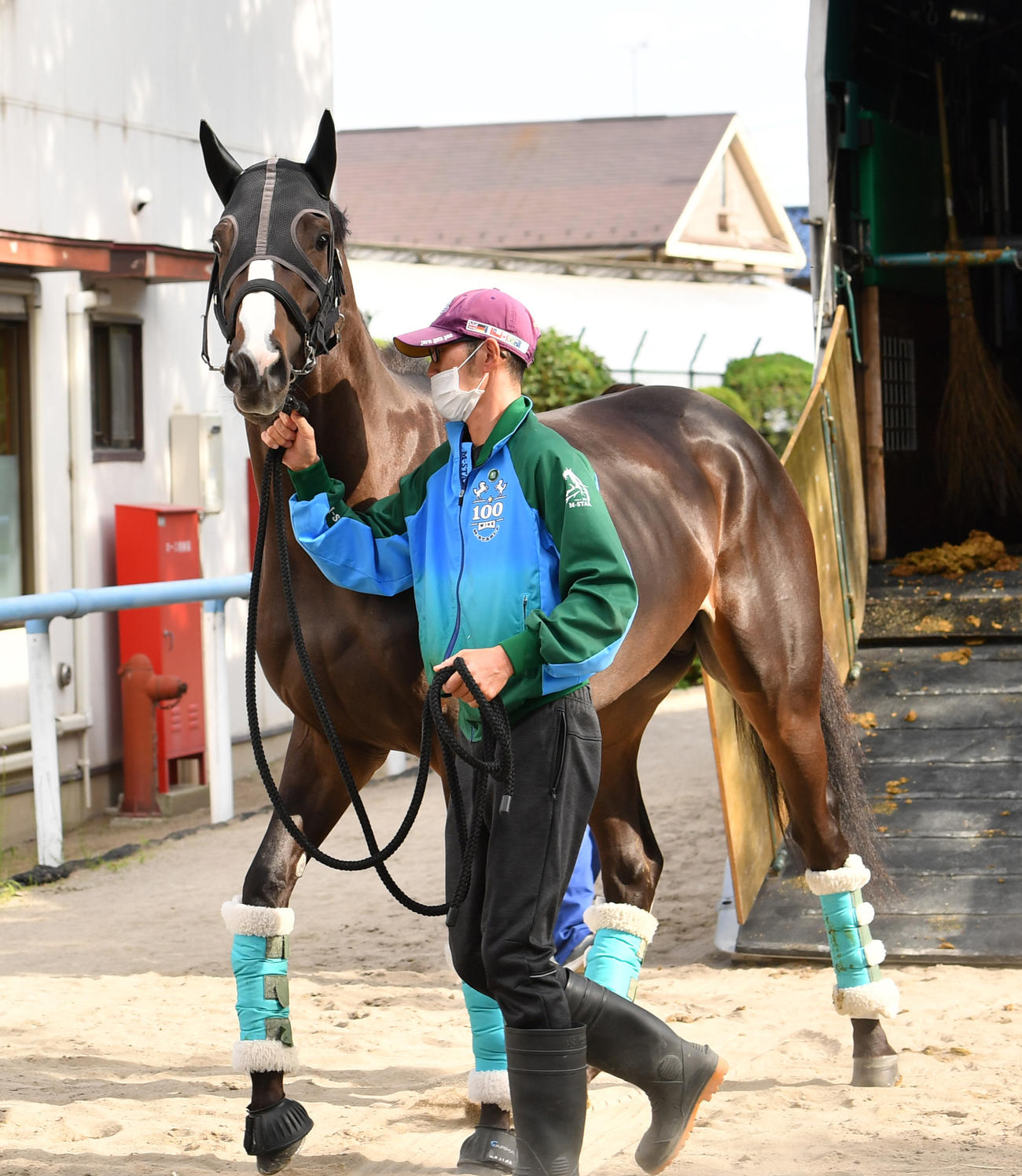 東京競馬場に到着したドゥラエレーデ（撮影・柴田隆二）